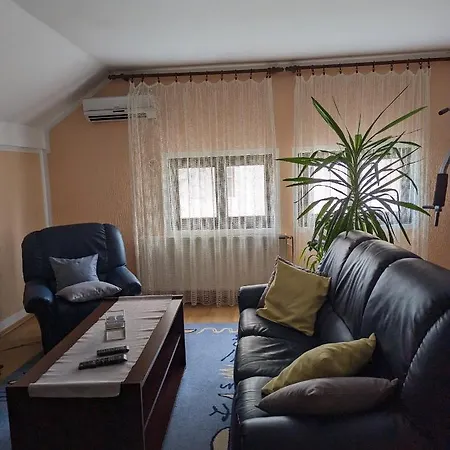 아파트 Trio 소코 반자