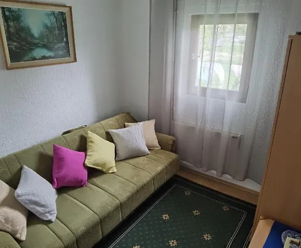 Daire Trio Soko Banja