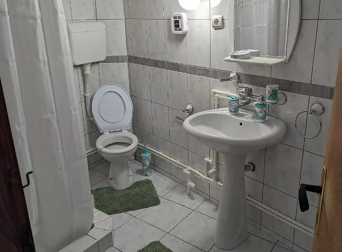 Daire Trio Soko Banja