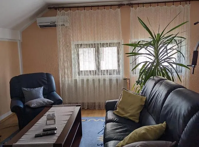 Daire Trio Soko Banja